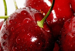 �����, �����, ����, ������