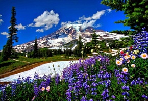 �������, ������, ������, �����, ����, ����