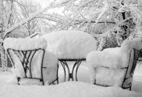 ����, ������