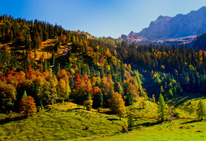 �������, �����, ����, �������, ������, �����, ����, ����������