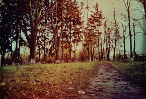 �����, �������, �������