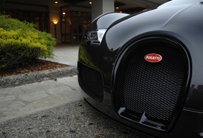 , exotic, veyron, bugatti, 