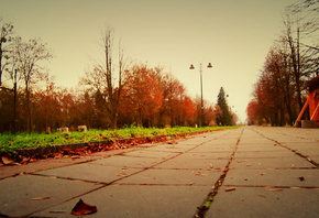 �����, �������, ����, �������