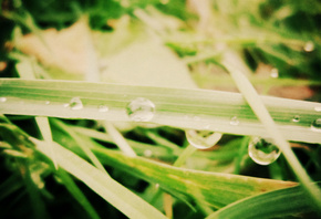 �������, �����, ������, �����, �������