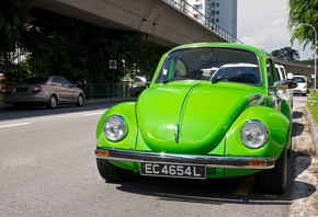 , volkswagen beetle, 