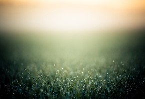 �����, �����, ����, ���, �����, ����, �����