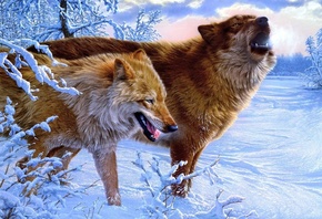 �����, ����, ���, Lee kromschroeder, ����