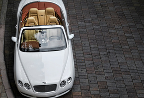 ��������, �����, continental, bentley, white