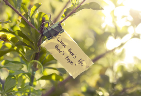 �����, green, ������, �����, ������, ������, ������