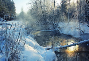 ������, ����, ����, �������