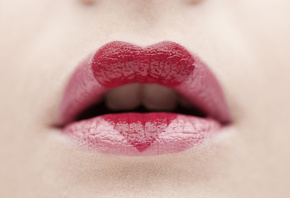 ����, �����, ��������, ������, ������