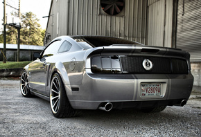 ����, gt500, mustang, avto, �����, �������, ����, Ford, shelby