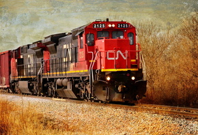 �����, ���, �����