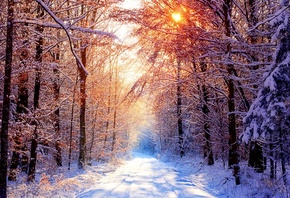 ������ ����, ����, �������, �������� ��������