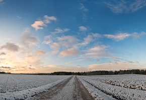 ����, �����, ����, ����