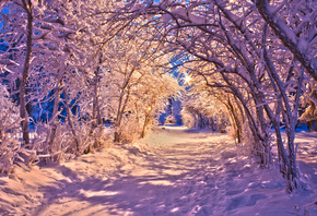 ����, ���, ����, ����, ������, �����, �������, �������