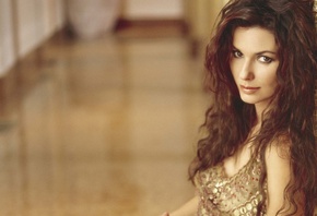 Shania Twain, ������ �����, ������