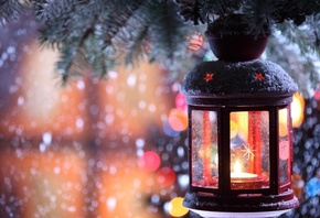 ����� ���, ������, ��������, �����