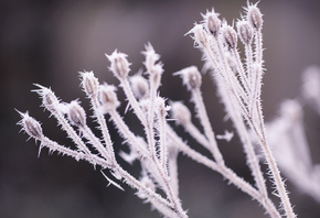 ����, ����, ����, �������, �����, �����