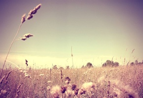 �������, ����, ���, �����