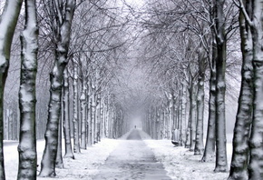 ����, �������, ����