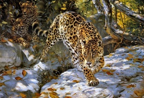 �����, Donald grant, ���, �����