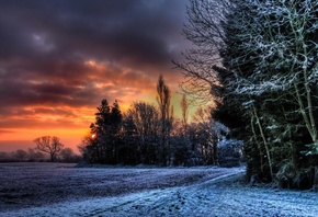 �������, ������, �����