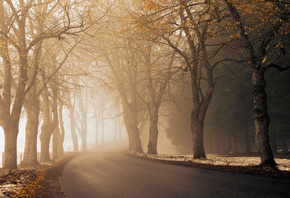 ����, �������, �����, �����, ����, ����, �����, ������