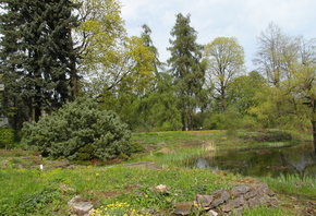 �������, ����, �����