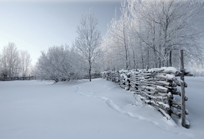 �������, ����, ����, �����