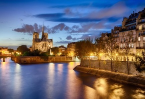 , , notre dame de paris, france, paris