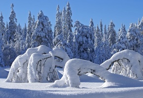 ����, �������, ����, �������