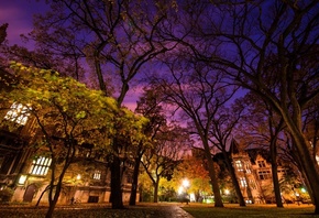 chicago, illinois, united states, jackson park terrace