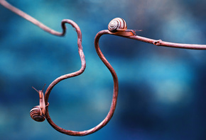 ���, �����, ������