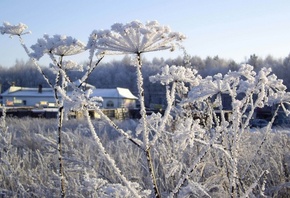 ����, ����, ��������, winter, snow