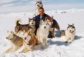  , ,  , eight below