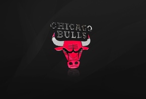 баскетбол, чикаго, Chicago bulls, логотип, nba, черный, быки