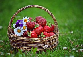 ��������, �����, �����, ��������