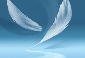 �����, galaxy note 2, ����, ���