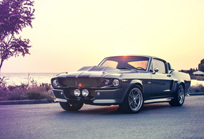 mustang, gt500e, giannes kokkas photography, shelby, eleanor, ford