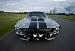 mustang, eleanor, , shelby, muscle car, , gt500, , , Ford