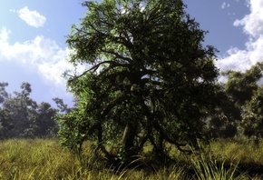 ������, klontak, ���, �������, �����, ������, ���, ����