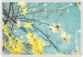 �����, �����, ��������, �����, ������ ����