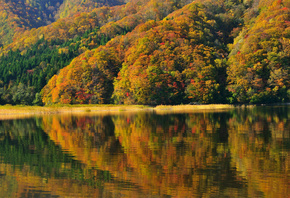 fukushima, ,  , autumn, , lake akimoto, Japan