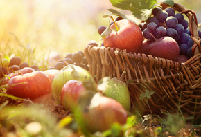 виноград, Корзина, яблоки, трава