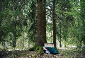 ��������, �������, ���