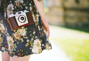 �����, ����������, �������