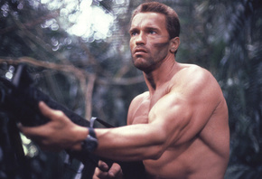 predator, , arnold schwarzenegger, ,  