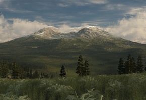 �������, ���, ��������, �����, �����, ���, �������, ����