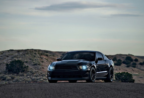 , mustang